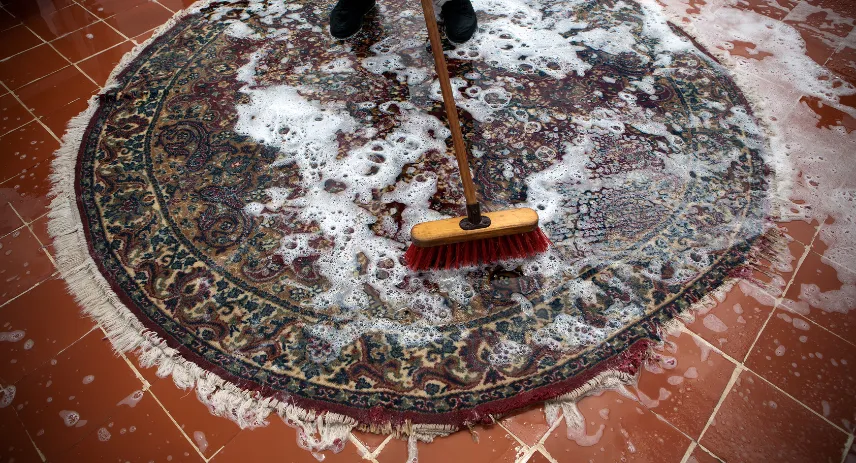 How to Clean an Area Rug at Home Efficiently